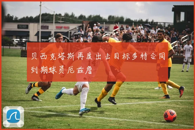 贝西克塔斯再度出击目标多特合同到期球员厄兹詹