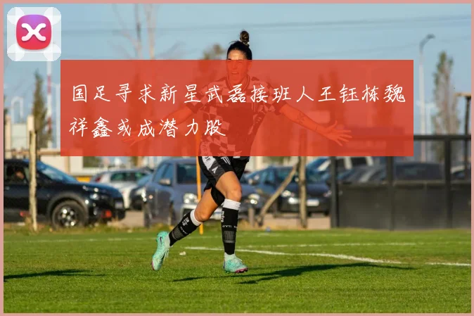 国足寻求新星武磊接班人王钰栋魏祥鑫或成潜力股