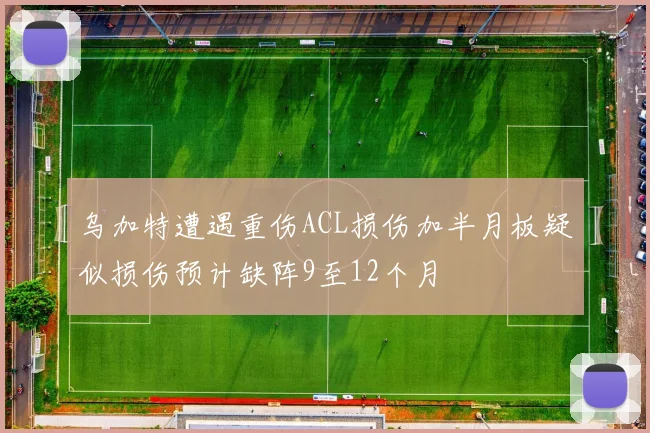 乌加特遭遇重伤ACL损伤加半月板疑似损伤预计缺阵9至12个月